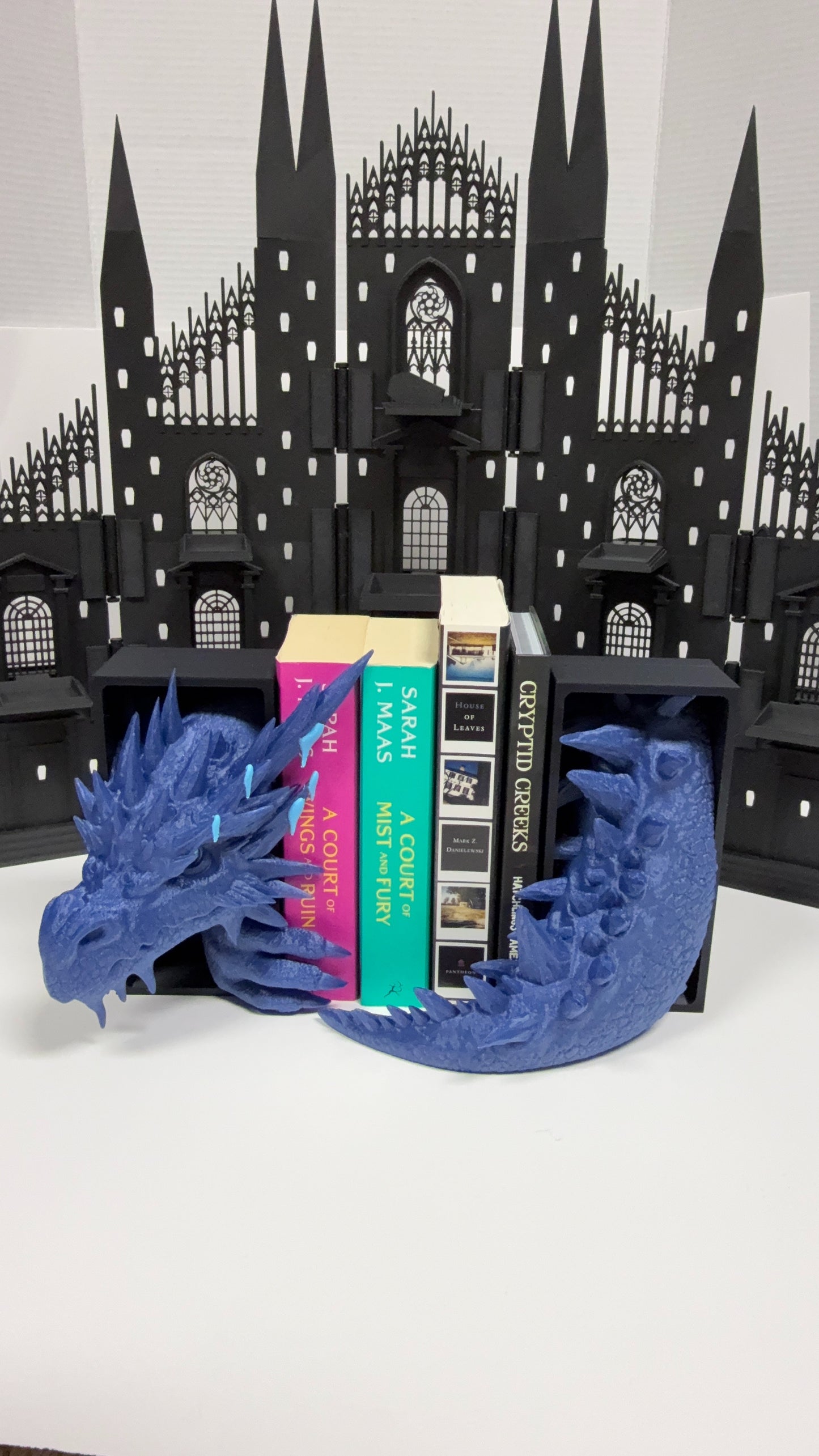 Ice Dragon Book Nook