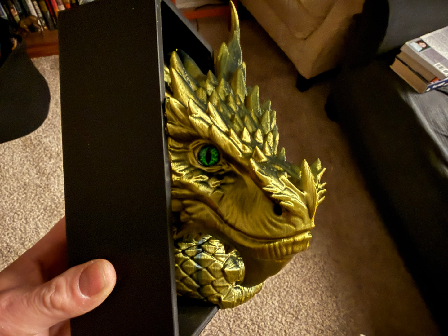 Spine Guard Dragon Book Nook
