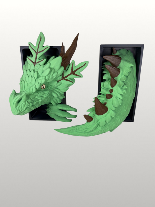 Forest Dragon Book Nook