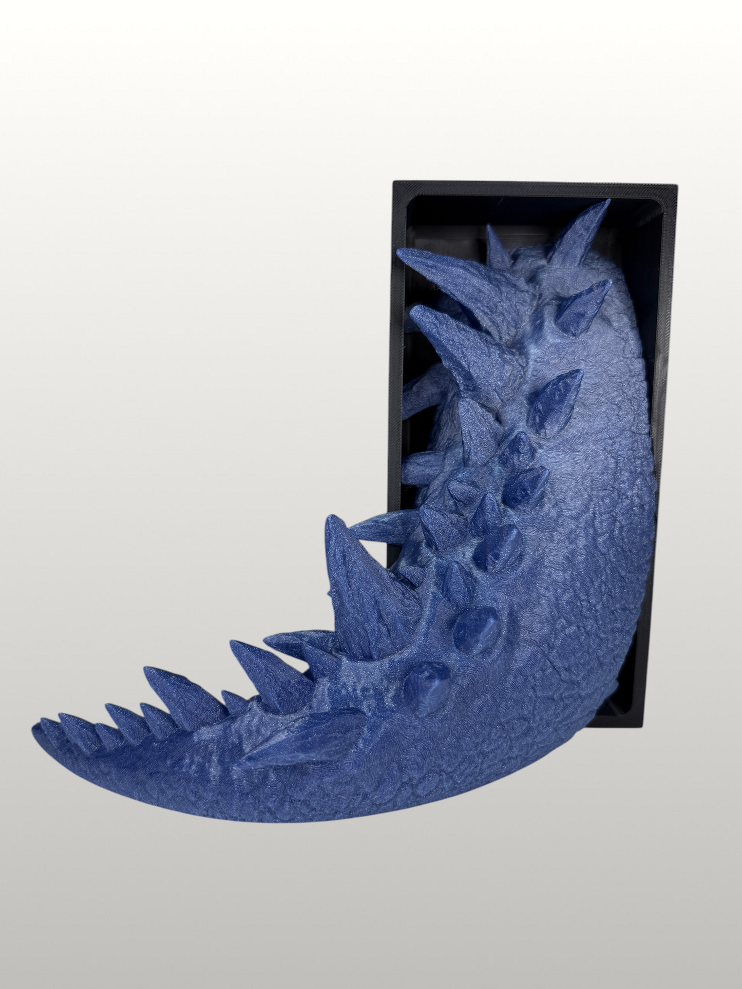 Ice Dragon Book Nook